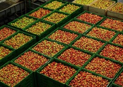 Introduktion til Supply Chain Management