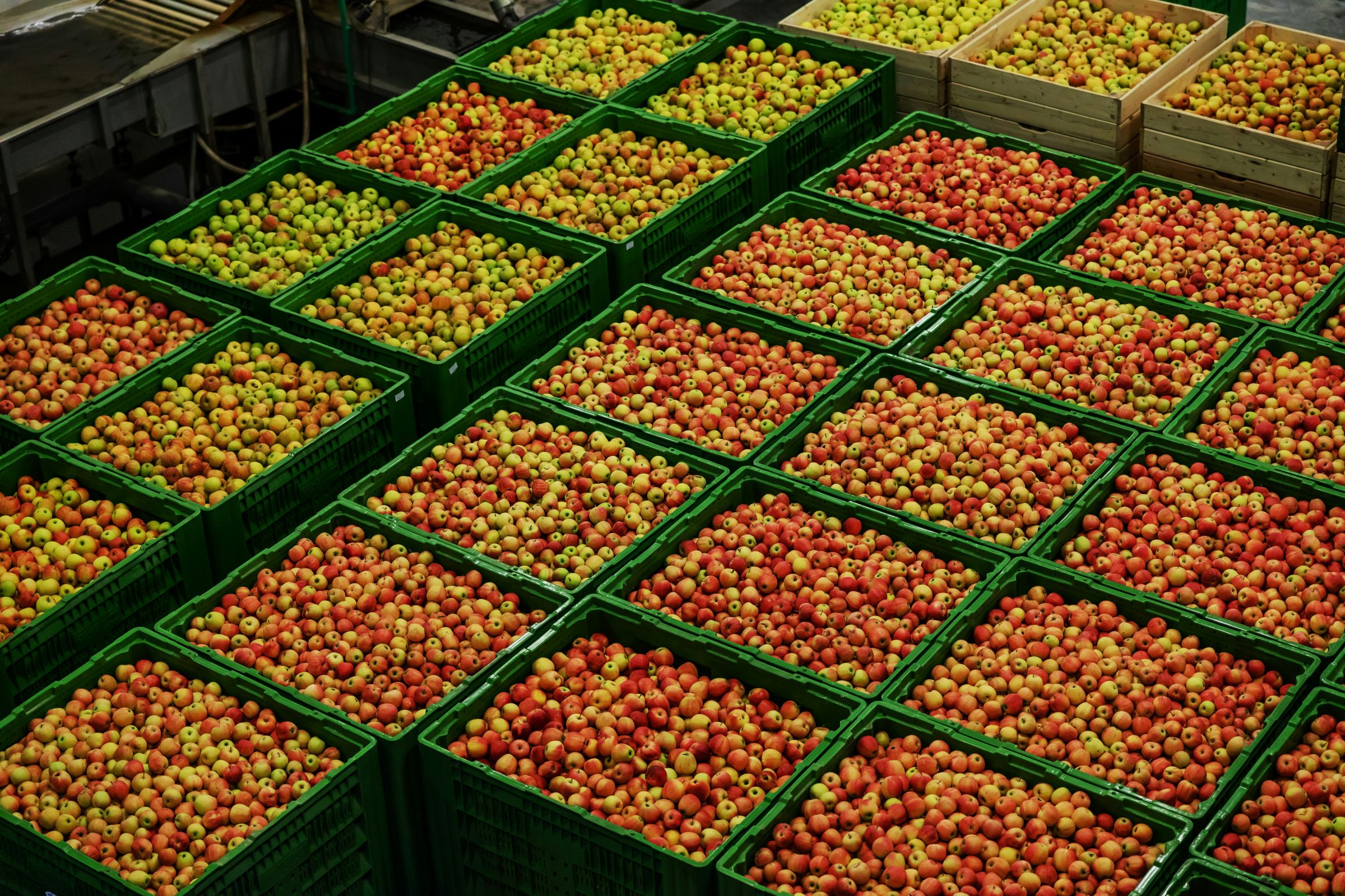 Introduktion til Supply Chain Management